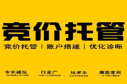 探索百度竞价代运营公司的成功之路